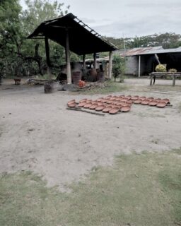 The countdown begins! ⏳🌿

We are so excited to give you a behind-the-scenes look at where the magic happens. Here, in the heart of Colombia, our next collection of handcrafted black pottery is taking shape. ✨

This photo shows a small part of what will soon be here with us! After being meticulously molded and hand-polished with a quartz stone, these pieces are now patiently drying in the sun before they head to the traditional kiln (visible in the back). This is slow craft at its finest.

Every step of the way is steeped in ancestral knowledge and a profound respect for the Earth.

Want first access when they arrive? Sign up for our newsletter via the link in bio. 🤎

#AlunaMari #BarroNegro #BlackPottery #HandcraftedWithLove #BehindTheScenes #SlowCraft #ArtisanStories #SustainableStyle #LaChambaPottery