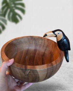 Elevate your summer table settings with our hand-carved Toucan Bowl. The ultimate blend of organic textures, earthy warmth, and playful design.

Fill it with your favorite seasonal fruits, or let it shine all on its own as a piece of functional sculpture.

🌿 Handmade. Organic. Uniquely yours.

#AlunaMari #HandcarvedWood #StatementDecor #ArtisanMade #TropicalAesthetic #SlowCraft #HomeStyling #InteriorDetails